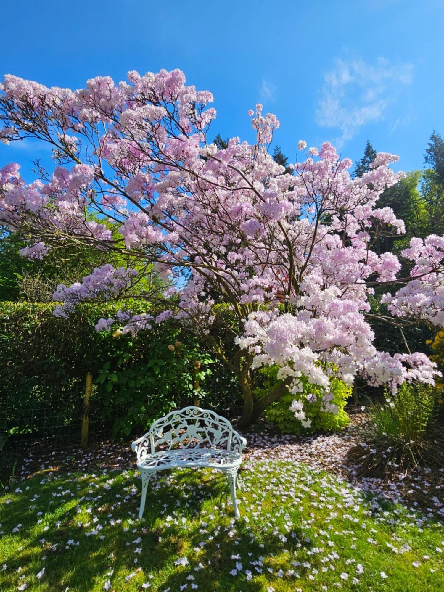 Bed and Breakfast Foxghyll Country House Ambleside Exteriér fotografie