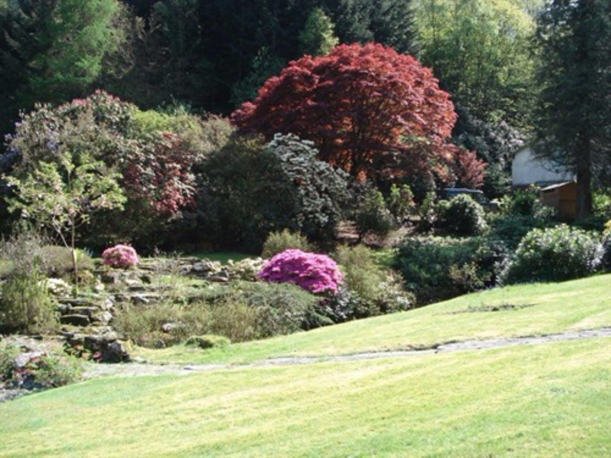 Bed and Breakfast Foxghyll Country House Ambleside Exteriér fotografie